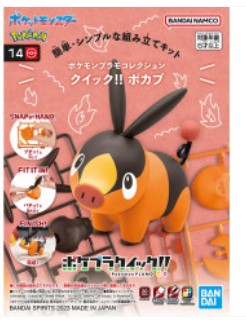 G22 - Maquette Tepig Gruikui Pokepla